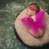 Glitter Fairy Butterfly Wings, Newborn, Baby, Photography prop CHOOSE Colors