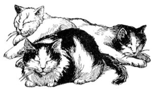 Clear Window Cling 6 inch x 4 inch Line Drawing Sleeping Cats