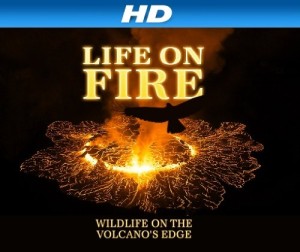 Icelandic Volcanoes [HD]