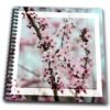 3dRose db_47202_1 Beautiful Cherry Blossom Flowers Spring Photography Floral Drawing Book, 8 by 8-Inch