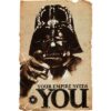 Trends Intl. Star Wars Empire Poster, 24-Inch by 36-Inch