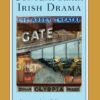 Modern and Contemporary Irish Drama (Second Edition)  (Norton Critical Editions)