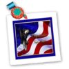 Beverly Turner Photography Congratulations Eagle Scout Bald Eagle with American Flag Square Quilt Sheet, 10 by 10-Inch