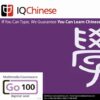 Annual IQChinese Go 100 V3.0 Windows OS [Download]