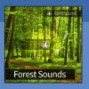 Forest Sounds