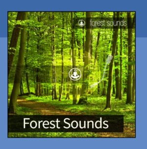 Forest Sounds