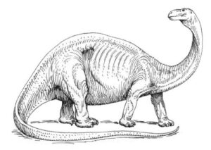 Pack of 4, 6 inch x 4 inch Gloss Stickers Line Drawing Brontosaurus