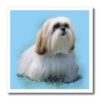 ht_20526_3 777images Digital Paintings Pets – White Lhasa Apso Dog Digital Oil Painting – Iron on Heat Transfers – 10×10 Iron on Heat Transfer for White Material
