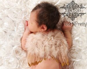 Feather Natural Angel Butterfly Wings, Newborn, Baby, Photo prop CHOOSE Colors or GLITTER TAN