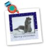Beverly Turner Photography Squirrel in The Snow Merry Christmas Square Quilt Sheet, 10 by 10-Inch
