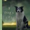 A Dog’s Life: Autobiography of a Stray