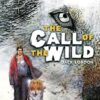 The Call of the Wild: The Graphic Novel (Campfire Graphic Novels)