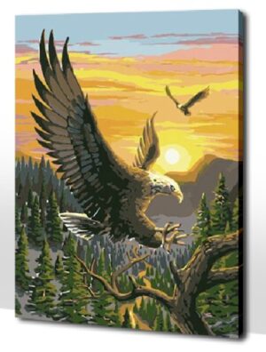 Diy oil painting, paint by number kit- Eagle 16*20 inch.