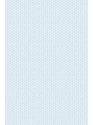 Ella Bella Photography Backdrop Paper, 4'X12', Dots--Baby Blue