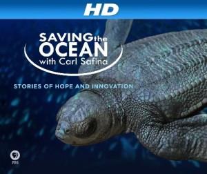 Shark Reef [HD]