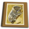 3dRose db_20530_1 Baby Koala Bear on a Tree Limb Digital Oil Painting Drawing Book, 8 by 8-Inch