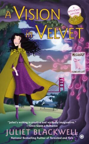A Vision in Velvet: A Witchcraft Mystery