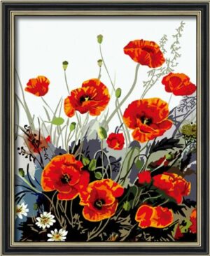 Diy oil painting, paint by number kit- Red Poppy 16*20 inch.