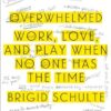 Overwhelmed: Work, Love, and Play When No One Has the Time