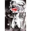 Trends Intl. Man of Steel Poster, 24-Inch by 36-Inch