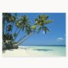 Vinyl Tropical Beach Backdrop Banner