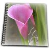 3dRose db_37518_2 Perfectly Pink Calla Lily Flowers Floral Photography Memory Book, 12 by 12-Inch