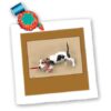 qs_20529_1 777images Digital Paintings Pets – Digital painting of a Bassett hound puppy pulling on the leash Lead The Way – Quilt Squares – 10×10 inch quilt square