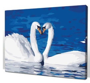Diy home decor digital canvas oil painting by number kits Two Swan 16*20 inch.