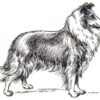 Clear Window Cling 6 inch x 4 inch Line Drawing Collie 2