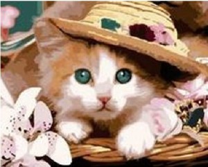 Diy oil painting, paint by number kit- Cat Princess 16*20 inch.