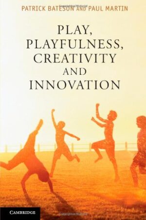 Play, Playfulness, Creativity and Innovation