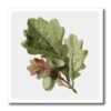 ht_104653_1 Dooni Designs Vintage Designs – Vintage Oak Leaves And Acorns Digital Nature Oil Painting – Iron on Heat Transfers – 8×8 Iron on Heat Transfer for White Material