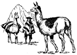 Pack of 4, 6 inch x 4 inch Gloss Stickers Line Drawing Llama
