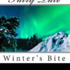 Fairy Tale: Winter’s Bite (Volume 1)