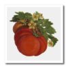 ht_104682_1 Dooni Designs Vintage Designs – Vintage Victorian Digital Oil Painting Fruit Tomatoes – Iron on Heat Transfers – 8×8 Iron on Heat Transfer for White Material