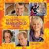 Best Exotic Marigold Hotel