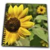 3dRose db_44694_1 Yellow Sunflower in Summer Flowers Floral Photography Drawing Book, 8 by 8-Inch