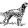 Clear Window Cling 6 inch x 4 inch Line Drawing English Setter