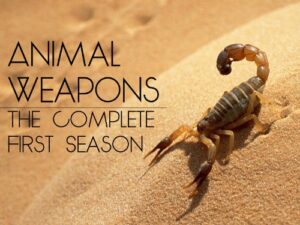 Animal Weapons - Part 2 of 2