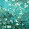 Pyramid PAS0014 Almond Blossoms Decorative Poster