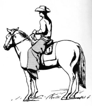 Clear Window Cling 6 inch x 4 inch Line Drawing Cowboy