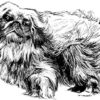 Clear Window Cling 6 inch x 4 inch Line Drawing Pekingese