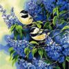Diy oil painting, paint by number kit- Two birds 16*20 inch.