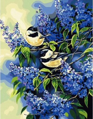 Diy oil painting, paint by number kit- Two birds 16*20 inch.
